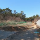 진선목장 이미지