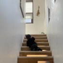 (주)디어스아이 | 대부도펜션벨리 디어스 키즈풀빌라 만족스러웠던 후기