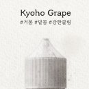 율곡전자담배 이미지