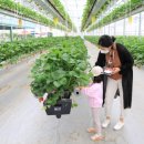 구성농장 이미지