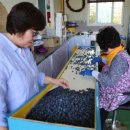 홍가네2농장 이미지