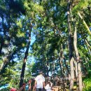 삼척케이블카펜션 이미지