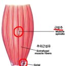 베이스피티 이미지