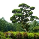 마음에고향 이미지