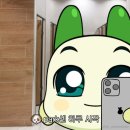 데이데이데이 이미지