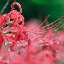 성주 유니온빌리지 이미지