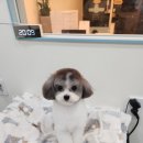 호야미용실 이미지