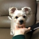 여수엑스포 부근 Daum카페