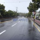 법환동-2 이미지