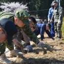 금수강산 국방일보