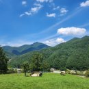 태성목장 이미지