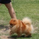 헬리우스 이미지