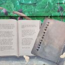두사충의 뽕나무 사 | 두사충을 아시나요?