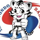 캐슬태권도체육관 이미지