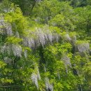 군도1호선 이미지