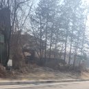 임동수파크골프샵