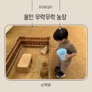 대중농장 | 용인 아이랑 가볼만한곳 무럭무럭농장 동물먹이체험 후기