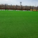 정왕시장 이미지