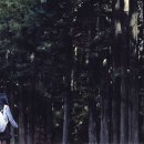 부릉부릉수묵시동 이미지