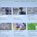 [시민제안강의] 내 삶의 화양연화 플라워 디자인 | &lt;2025 도시숲아카데미&gt; 김현아 대표의 &#39;도시숲, 살피며 보살피기&#39; 강의 후기