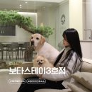 문가스테이 | 부산 광안리 애견동반 호텔 보다스테이 3호점 내돈내산 찐 후기 단체 숙소로 추천