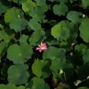 주천로89번길 이미지