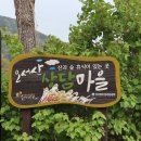 홍성군 오서산산촌마을센터 송점순 사무장을 만나다. 이미지