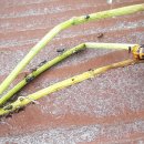 신미주어린이집 이미지