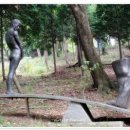 반추된 힘 이미지