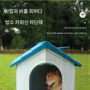 강아지집 이미지