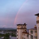 미인상회 이미지