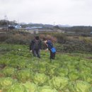 태환농장 이미지