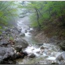 원진민박 이미지