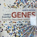 Essential of Genes (Lewins) 4판 이미지