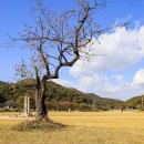 보원목장 이미지