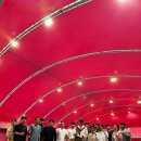 4659 | 어게인 테니스 정규 코트 가을 대회🎾 (동탄 테니스 레슨 / 스크린 테니스) 강추! 추천!