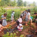 중앙원예 이미지