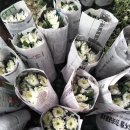 신마농장 이미지