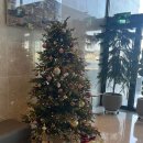 포르투나호텔 | 통영 숙소, 포르투나 호텔 후기