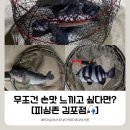 [피싱존 김포점]김포 실내 바다 낚시터 다녀온후기🎣ㅣ 이렇게 입질 좋을수있나요? 다녔던 곳 중에 입질...