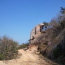 보물섬약국 이미지