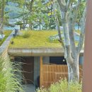 오션스테이6 | 경남 거제 W181오션스테이 내돈내산후기 프라이빗수영 구비용품 조식 카페 등