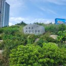 부산 남구 남파랑해파랑길 등산 산책하기 좋은 곳