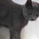 (주)인섹트바이오텍 이미지