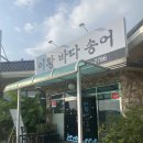 이황바다송어
