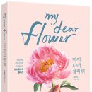 디어코코 이미지