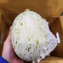 가야 백자메론&amp;무지개망고&amp;성주 꿀참외&amp;대저 정품&amp;함양 부사 가정용!!! 이미지