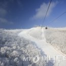 반갑다 스키야! 올 시즌 스키장 달라지는 것은??? 헉... 이런건 안달라져도 되는데...ㅠㅡㅠ 나의 꿈과 희망인...이것이 달라지다니... 이미지