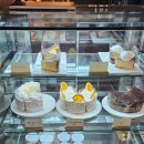 율목애견 이미지