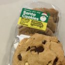 바비노래방 | [12월 셋째주] 시드니 스냅 원본 셀렉하기/ 골프 연습/ 코스트코 장보기/ 워커홀릭 호주 간호사 일상